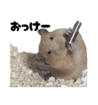 キンクマハムスターおいもの日常スタンプ2（個別スタンプ：6）