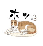 ボルゾイでゆるっと返事（個別スタンプ：5）