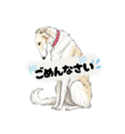 ボルゾイでゆるっと返事（個別スタンプ：6）
