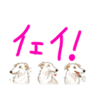 ボルゾイでゆるっと返事（個別スタンプ：7）
