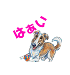 ボルゾイでゆるっと返事（個別スタンプ：12）