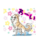 ボルゾイでゆるっと返事（個別スタンプ：20）