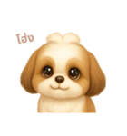 ワンだふる｜シーズー【タイ語】（個別スタンプ：1）