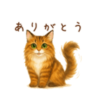 メインクーンかソマリさん1（個別スタンプ：5）