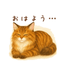 メインクーンかソマリさん1（個別スタンプ：6）