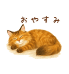 メインクーンかソマリさん1（個別スタンプ：7）