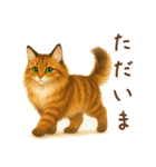 メインクーンかソマリさん1（個別スタンプ：14）