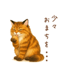 メインクーンかソマリさん1（個別スタンプ：15）