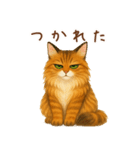 メインクーンかソマリさん1（個別スタンプ：16）