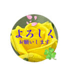 あいさつは心の声（個別スタンプ：5）
