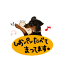 ミニピンのソルトちゃん（個別スタンプ：12）