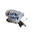 ミニピンのソルトちゃん（個別スタンプ：13）