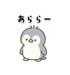 可愛いペンギンの日常スタンプ（個別スタンプ：20）