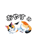 可愛い三毛ネコの日常使いスタンプ（個別スタンプ：5）