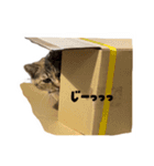 末広みーのすたんぷ（個別スタンプ：10）