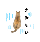末広みーのすたんぷ（個別スタンプ：11）