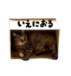 末広みーのすたんぷ（個別スタンプ：21）