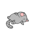しましまねこスタンプ3（個別スタンプ：4）