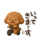 トイプードル【レッド】3D（個別スタンプ：5）
