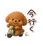 トイプードル【レッド】3D（個別スタンプ：6）