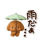トイプードル【レッド】3D（個別スタンプ：18）