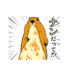 もっと、だじゃれでマーモット（個別スタンプ：7）