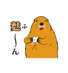 もっと、だじゃれでマーモット（個別スタンプ：16）