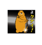 もっと、だじゃれでマーモット（個別スタンプ：23）