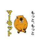 もっと、だじゃれでマーモット（個別スタンプ：24）