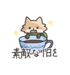 おおかみときつね[お祝い＆イベント]（個別スタンプ：11）