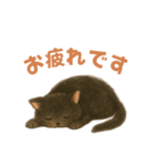 黒猫LaLaの毎日つかえるスタンプ（個別スタンプ：14）