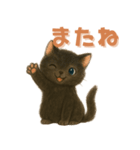 黒猫LaLaの毎日つかえるスタンプ（個別スタンプ：17）