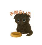 黒猫LaLaの毎日つかえるスタンプ（個別スタンプ：19）