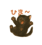 黒猫LaLaの毎日つかえるスタンプ（個別スタンプ：23）