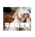 琥珀だよおおお（個別スタンプ：10）