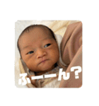 琥珀だよおおお（個別スタンプ：29）