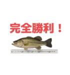 バス釣りをやめない人達のスタンプ（個別スタンプ：8）
