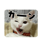 はろりスタンプ①（個別スタンプ：2）