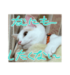 はろりスタンプ①（個別スタンプ：3）