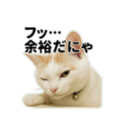 はろりスタンプ①（個別スタンプ：8）