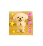 動く♪るるるん♡ぷぷるん♡1（個別スタンプ：4）
