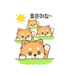 マランちゃんのビッグステッカー（個別スタンプ：1）