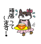 柴犬めいちゃんのニコニコスタンプ（個別スタンプ：2）