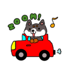 柴犬めいちゃんのニコニコスタンプ（個別スタンプ：7）