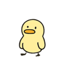 ドド のろまなアヒルの（個別スタンプ：2）