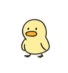 ドド のろまなアヒルの（個別スタンプ：5）