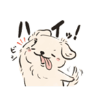 どうぶつたち！！（犬多め）（個別スタンプ：3）