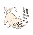 どうぶつたち！！（犬多め）（個別スタンプ：4）