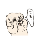 どうぶつたち！！（犬多め）（個別スタンプ：11）
