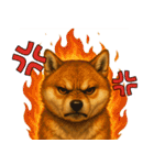柴犬さんいらっしゃい（個別スタンプ：5）